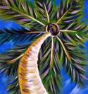 The image for $25 Monday Madness Under a Palm Tree