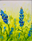 The image for Beautiful Bluebonnets!