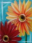The image for Gerber Daisies