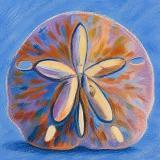 The image for Coastal coin for your sea-cret savings!