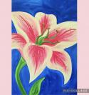 The image for Large and Lovely Hibiscus Over Blue Background!