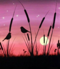 The image for Beautiful Birds in the Cattails!