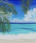 The image for Palm Beach