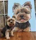 The image for PAINT YOUR PET!! Bring a photo of your furry or feathered friend.