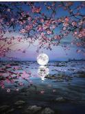 The image for New! Beautiful Moon and Through the Flowers