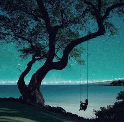 The image for Into The Night! NEW!