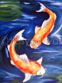 The image for $30 Thursdays Koi Fish