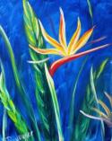 The image for Bird of Paradise!