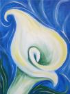 The image for $30 Thursday's! Calla Lilly