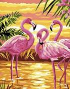 The image for Flamingos at Golden Hour
