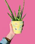 The image for Flower Pots! Design your favorite and we’ll show you how!