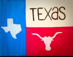 The image for Texas!