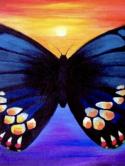 The image for Beautiful butterfly!