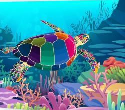 The image for Colorful Turtle!