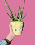 The image for Girls Scout Day! Paint your pot!