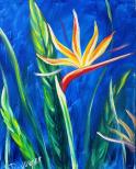 The image for Bird of Paradise