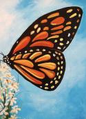 The image for Monarch Butterfly